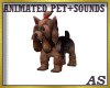 `Yorkie Puppy /Pets