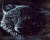Black Wolf Sticker