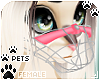 [Pets] Muzzle | Punch