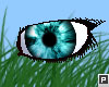 [Cloud] Aqua Eyes