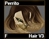 Perrito Hair F V3