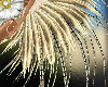 back feathers rio dancer