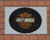 H-D Logo Club Rug