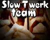 Slow Twerk Team