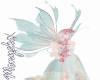 Asas Enchanted