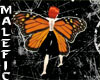 +m+ orange butterfly