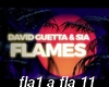 David Guetta-Flames