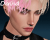 Asellus Blonde/Pink