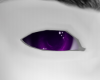 -K- Purple Magic Eyes M