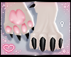 ˏˋ✧ Furry Paws