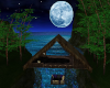 Under The Moonlight Sky