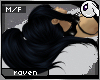 ~Dc) Raven Djinn Lyr m/f