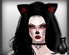 [CS] Vampire Cat