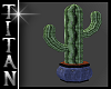 TT*Carcass Cactus