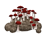 Witch Mushrooms 5