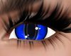 Meowtastic Sapphire Eyes