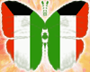 [a7md] Kuwait Butterfly