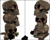 ~Castle~ Animated Skulls