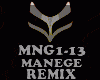 REMIX - MANEGE