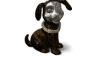 Louis pup