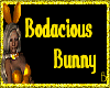 *Chee: Bodacious Bunny