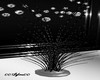decoLightAnimé