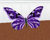 {KC}magestic butterfly