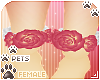 [Pets]Reni |rose anklets