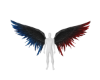 U Wings 6