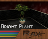 [Rav] Bright Plant