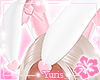 ❤Bunny Ears P❤