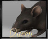 !Q AL Animated Rat