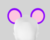 Bear Ears