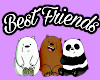 SN ! Best Friends