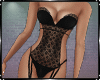 Lace Lingerie