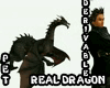 Pet Dragon with fire der