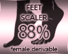 Feet Scaler 88%