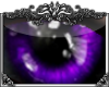[*A] ++Purple++ Jewels