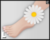 Daisy Anklet L