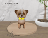 Diomidis pup