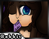 B! I love babbit