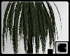 ♠ Small Willow Tree