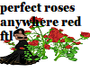 perfect roses anywhere 3