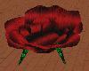 Red Rose Chair W/Kiss