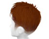 AA! Ken Hair - Red