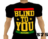 Blind To You Haters BT