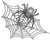 spidernweb