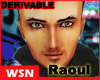 [wsn]Head#Raoul