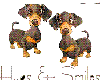 baset hounds animated