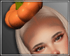!MD Pumpkin S - DRV